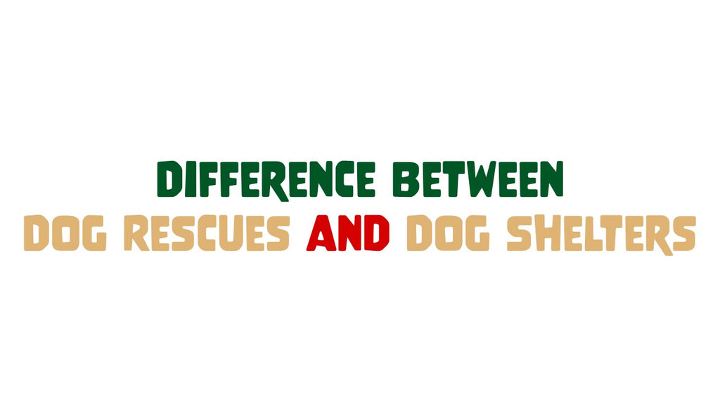 Difference Between Dog Rescues and Dog Shelters