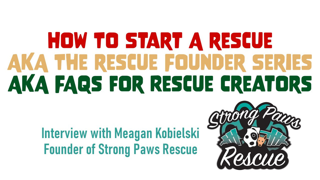 How to Start a Rescue AKA The Rescue Founder Series AKA FAQS For Rescue Creators - Strong Paws Rescue