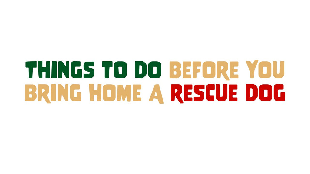 Things To Do Before You Bring Home A Rescue Dog
