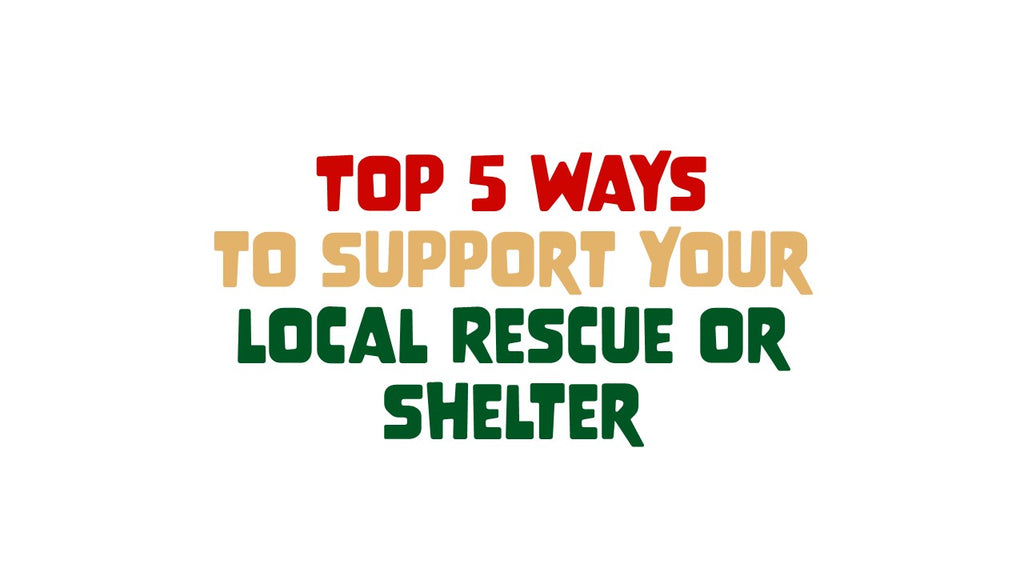 Top 5 Ways to Support Your Local Rescue or Shelter